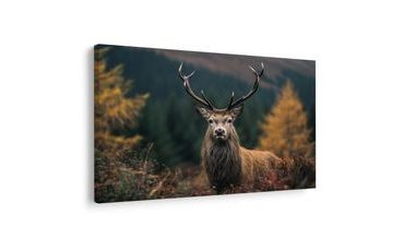 KÉP FENSÉGES SZARVAS AZ ERDŐBEN - SZARVASOS KÉPEK - KÉPEK