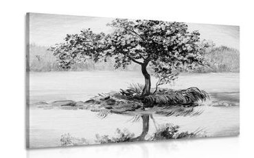 CANVAS PRINT ORIENTAL CHERRY IN BLACK AND WHITE - BLACK AND WHITE PICTURES - PICTURES