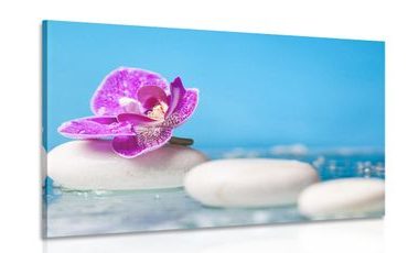 CANVAS PRINT ORCHID AND ZEN STONES - PICTURES FENG SHUI - PICTURES