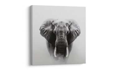 KÉP ELEFÁNT ERŐ ÉS NYUGALOM - ELEFÁNTOS KÉPEK - KÉPEK