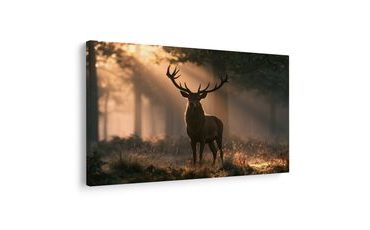 TABLEAU SUR TOILE – CERF DANS LA LUMIÈRE MATINALE - TABLEAUX DE CERFS - TABLEAUX