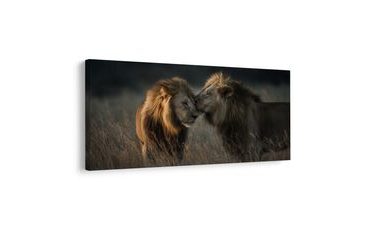 SLIKA LEVJA KRALJEVSKA HARMONIJA - SLIKE LEVI IN TIGRI - SLIKE