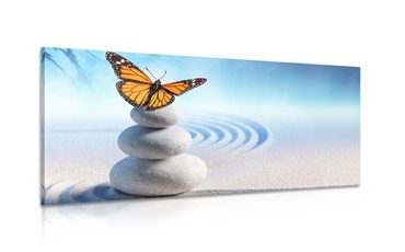 CANVAS PRINT BALANCE OF STONES AND A BUTTERFLY - PICTURES FENG SHUI - PICTURES