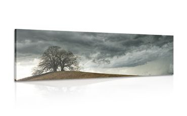 CANVAS PRINT LONELY TREES - PICTURES OF NATURE AND LANDSCAPE - PICTURES