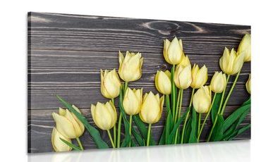 WANDBILD BEZAUBERNDE GELBE TULPEN AUF HÖLZERNEM HINTERGRUND - BILDER BLUMEN - BILDER