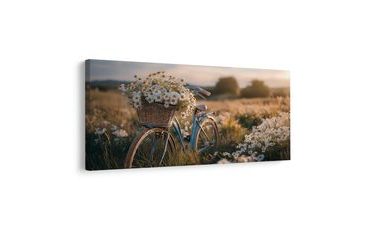 SLIKA ROMANTIČNA VOŽNJA MEĐU TRATINČICAMA - SLIKE POLJA I LIVADA - SLIKE