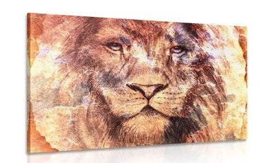 CANVAS PRINT LION'S FACE - PICTURES OF ANIMALS - PICTURES