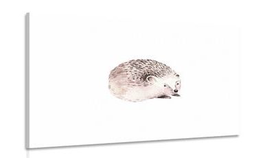 CANVAS PRINT CUTE HEDGEHOG - CHILDRENS PICTURES - PICTURES