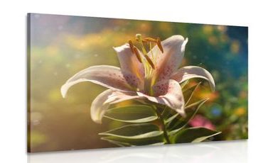 CANVAS PRINT BEAUTIFUL FLOWER WITH A RETRO TOUCH - PICTURES FLOWERS - PICTURES