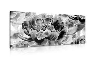 CANVAS PRINT PEONIES IN BLACK AND WHITE - BLACK AND WHITE PICTURES - PICTURES