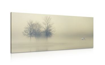 WANDBILD BÄUME IM NEBEL - BILDER VON NATUR UND LANDSCHAFT - BILDER