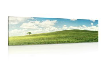 CANVAS PRINT BEAUTIFUL DAY ON THE MEADOW - PICTURES OF NATURE AND LANDSCAPE - PICTURES