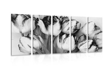 5-PIECE CANVAS PRINT SPRING TULIPS IN BLACK AND WHITE - BLACK AND WHITE PICTURES - PICTURES