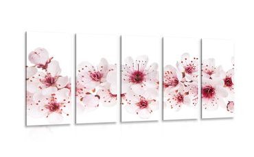 IMPRESSION SUR TOILE EN 5 PARTIES FLEURS DE CERISIER - IMPRESSIONS SUR TOILE FLEURS - IMPRESSION SUR TOILE