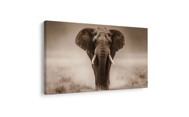 KÉP FENSÉGES ELEFÁNT A SZAVANNÁN - ELEFÁNTOS KÉPEK - KÉPEK