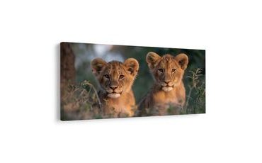 SLIKA PAR MLADIH LAVOVA - SLIKE LAVOVA I TIGROVA - SLIKE