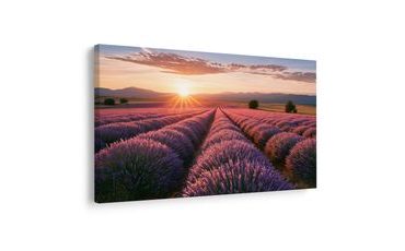 TABLEAU SUR TOILE – SOLEIL AU-DESSUS D’UN CHAMP DE LAVANDE - TABLEAUX DE CHAMPS ET PRAIRIES - TABLEAUX