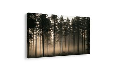TABLEAU SUR TOILE – FORÊT DE PINS BRUMEUSE À L’AUBE - TABLEAUX FORÊT - TABLEAUX