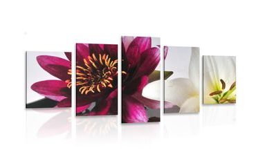 IMPRESSION SUR TOILE EN 5 PARTIES FLEURS DANS UN BOL - IMPRESSIONS SUR TOILE FLEURS - IMPRESSION SUR TOILE