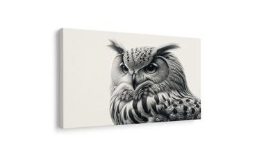 OBRAZ ČERNOBÍLÝ PORTRÉT SOVY - OBRAZY PTÁCI - OBRAZY