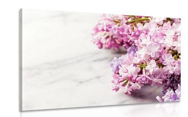 OBRAZ NÁDHERNÉ KVĚTINY NA MRAMOROVÉM PODKLADU - OBRAZY KVĚTŮ - OBRAZY