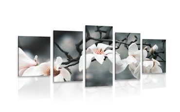 5-TEILIGES WANDBILD ERWACHENDE MAGNOLIE - BILDER BLUMEN - BILDER