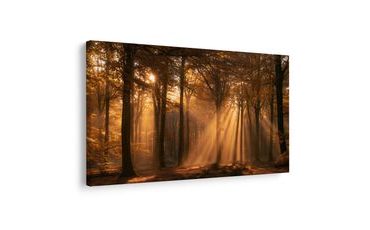 TABLEAU SUR TOILE – RAYONS DORÉS DANS LA FORÊT - TABLEAUX FORÊT - TABLEAUX