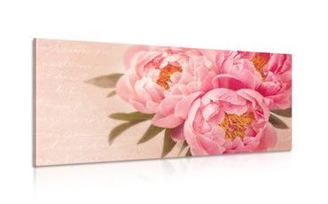 IMPRESSION SUR TOILE DOUCE PIVOINE - IMPRESSIONS SUR TOILE VINTAGE ET RÉTRO - IMPRESSION SUR TOILE