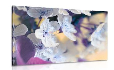 CANVAS PRINT BLOSSOMING CHERRY BRANCH - PICTURES FLOWERS - PICTURES