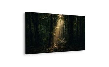 TABLEAU SUR TOILE – LUMIÈRE FORESTIÈRE ENTRE LES ARBRES - TABLEAUX FORÊT - TABLEAUX