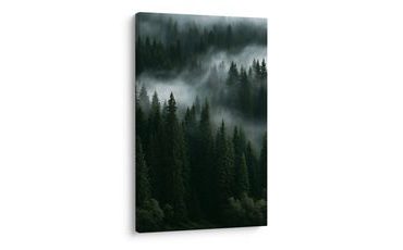 TABLEAU SUR TOILE – FORÊT DE MONTAGNE PAISIBLE DANS LA BRUME - TABLEAUX FORÊT - TABLEAUX