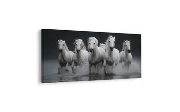 SLIKA DIVLJA VOŽNJA BIJELIH KONJA - SLIKE KONJA - SLIKE