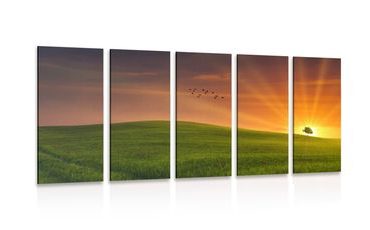 5-PIECE CANVAS PRINT TREE ON THE MEADOW - PICTURES OF NATURE AND LANDSCAPE - PICTURES