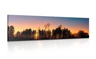 CANVAS PRINT FOREST SHROUDED IN DARKNESS - PICTURES OF NATURE AND LANDSCAPE - PICTURES