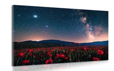 SLIKA LIVADA MAKOVA TURČINJAKA POD ZVIJEZDAMA - DOVIDO IZAZOV - SLIKE