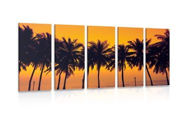 5-PIECE CANVAS PRINT SUNSET OVER PALM TREES - PICTURES OF NATURE AND LANDSCAPE - PICTURES