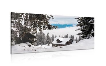 CANVAS PRINT WOODEN HOUSE NEAR SNOWY PINES - PICTURES OF NATURE AND LANDSCAPE - PICTURES