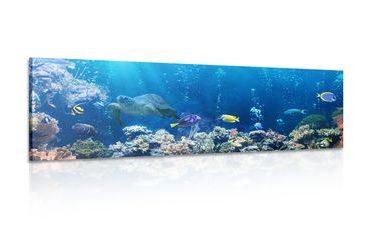 IMPRESSION SUR TOILE POISSONS TROPICAUX - IMPRESSIONS SUR TOILE ANIMAUX MARINS - IMPRESSION SUR TOILE