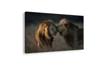 KÉP OROSZLÁNOK AZ AFRIKAI SZAVANNÁN - TIGRIST, OROSZLÁNT ÁBRÁZOLÓ KÉPEK - KÉPEK