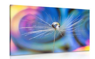 CANVAS PRINT DROP OF DEW ON A COLORED BACKGROUND - PICTURES FLOWERS - PICTURES