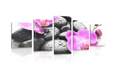 5-PIECE CANVAS PRINT BEAUTIFUL INTERPLAY OF STONES AND ORCHIDS - PICTURES FENG SHUI - PICTURES