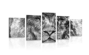 5-PIECE CANVAS PRINT LION FACE IN BLACK AND WHITE - BLACK AND WHITE PICTURES - PICTURES