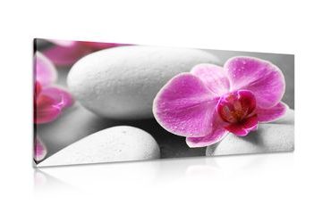 IMPRESSION SUR TOILE FLEURS D'ORCHIDÉES SUR DES PIERRES BLANCHES - IMPRESSIONS SUR TOILE FENG SHUI - IMPRESSION SUR TOILE