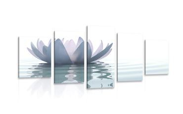 5-PIECE CANVAS PRINT LOTUS FLOWER - PICTURES FENG SHUI - PICTURES