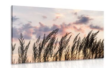 IMPRESSION SUR TOILE BRINS D'HERBE DES CHAMPS - IMPRESSION SUR TOILE DE NATURE ET PAYSAGE - IMPRESSION SUR TOILE