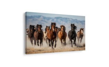 SLIKA DIVLJI GALOP KONJA KROZ KRAJOLIK - SLIKE KONJA - SLIKE