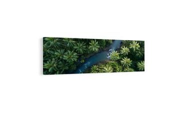 SLIKA POGLED S VRHA ŠUME - SLIKE STABALA I LIŠĆA - SLIKE