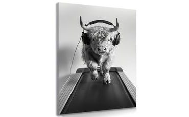 OBRAZ KRÁVA SE SLUCHÁTKY NA BĚŽÍCÍM PÁSU - OBRAZY BUVOLY A KRÁVY - OBRAZY