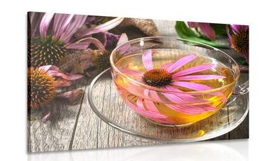 CANVAS PRINT CUP OF HERBAL TEA - PICTURES OF FOOD AND DRINKS - PICTURES