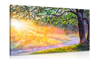 OBRAZ VÝCHOD SLNKA V LESE - ΠΊΝΑΚΕΣ ΦΎΣΗΣ ΚΑΙ ΤΟΠΊΟΥ - ΠΊΝΑΚΕΣ